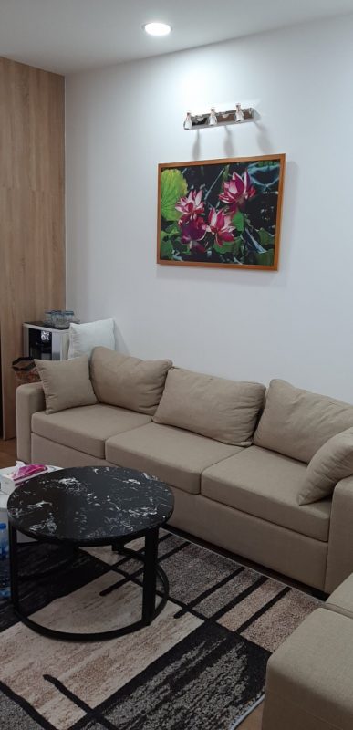 Cho thuê chung cư hiện đại tại Hà Nội streetbling